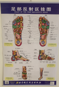 Foot Reflexology Map